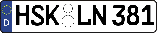 HSK-LN381