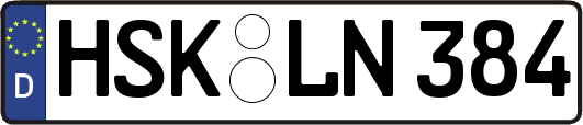 HSK-LN384