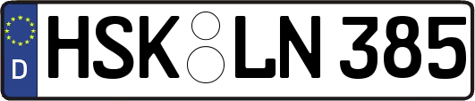HSK-LN385