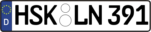 HSK-LN391