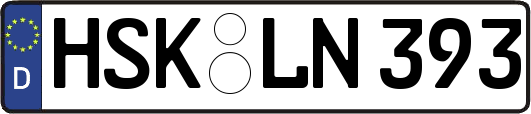 HSK-LN393