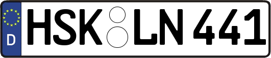 HSK-LN441