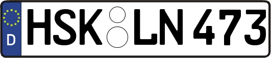 HSK-LN473