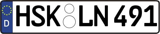 HSK-LN491