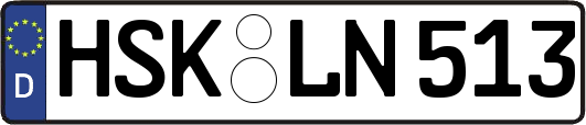 HSK-LN513