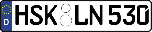 HSK-LN530