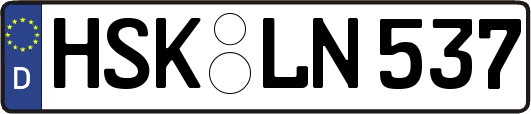 HSK-LN537