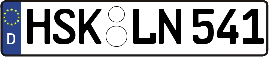 HSK-LN541