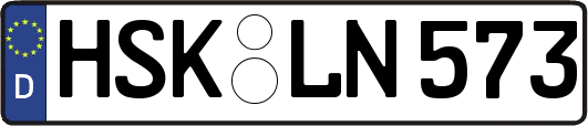 HSK-LN573