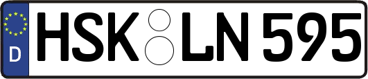 HSK-LN595