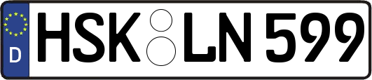 HSK-LN599
