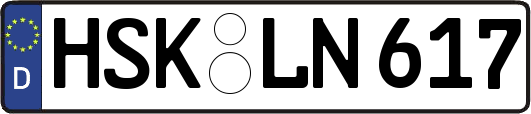 HSK-LN617