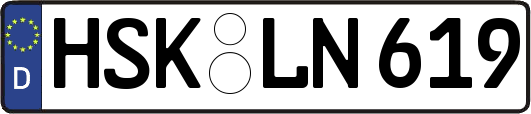 HSK-LN619