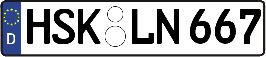 HSK-LN667