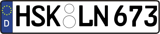 HSK-LN673