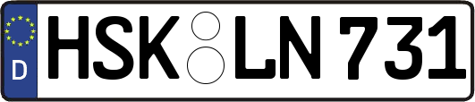 HSK-LN731