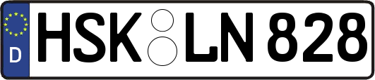 HSK-LN828