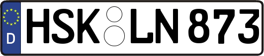 HSK-LN873