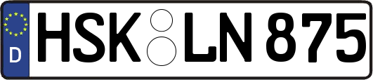 HSK-LN875