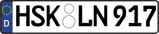 HSK-LN917