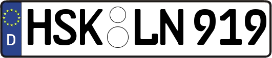 HSK-LN919