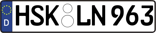 HSK-LN963