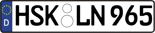 HSK-LN965