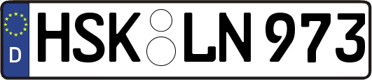 HSK-LN973