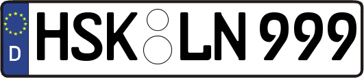 HSK-LN999