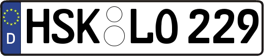 HSK-LO229