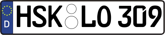 HSK-LO309