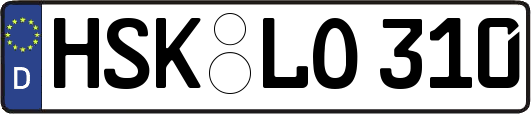 HSK-LO310