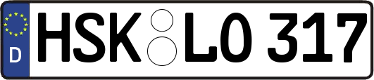 HSK-LO317