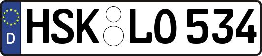 HSK-LO534