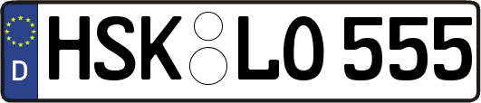 HSK-LO555