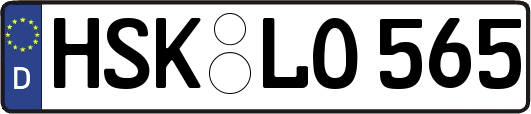 HSK-LO565