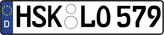HSK-LO579