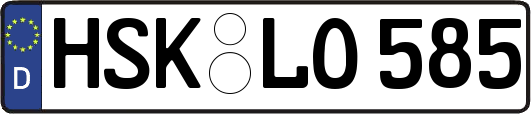 HSK-LO585