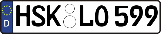 HSK-LO599