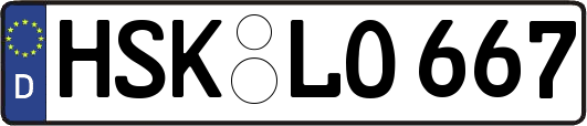 HSK-LO667