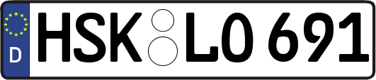 HSK-LO691