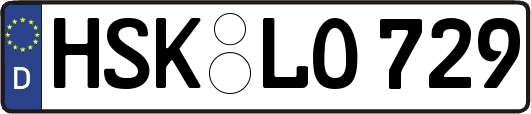 HSK-LO729