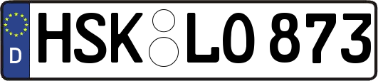 HSK-LO873