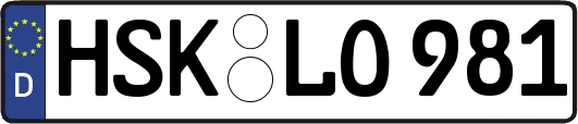 HSK-LO981