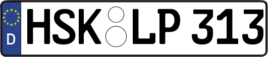 HSK-LP313