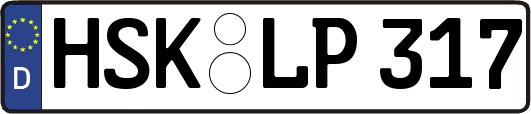 HSK-LP317