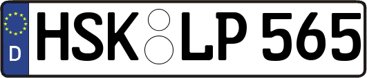 HSK-LP565