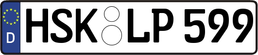 HSK-LP599