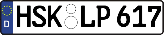 HSK-LP617
