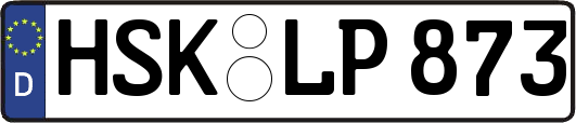HSK-LP873